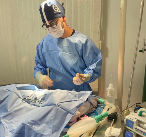 cirurgia-veterinaria-americana-sp